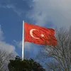 turkic.patriot57