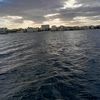 rajamer519