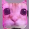 somepet2