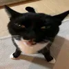 sanxsstyling