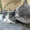 nacho_and_rosa