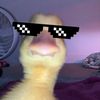 4dnugett