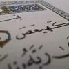 malek9428
