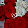 user9219312261237
