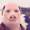 johnporkyio