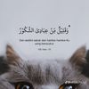 shehubayawa123