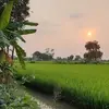 thien.nhien168