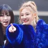ellayihzuo