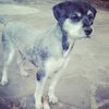 lalita5475