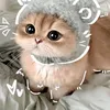 ngamhoanghonthatchill