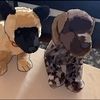 max_is.the.bestdog0