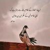 naheedbhattiahmad111