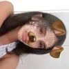 sarynha_sss