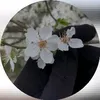 user4191570806395