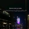 chishmish349