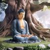 bir.bahadur998
