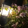 abby_abigail04