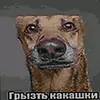 krutochen555777