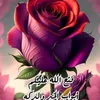 hussein40902