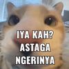 dittaja06