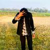 mdmahim53875