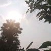 sollyo_270