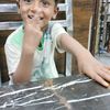 asad5034