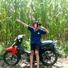 cyzxxkxx