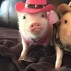 peachyichiey