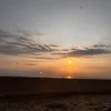 sabrbloom8