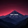 mnt.drini