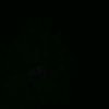 girllsbutterflly_172