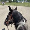 ameliae_yyc