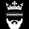 hrachik.shahbazya