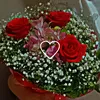 eduarda.116