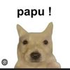 hombre..papus