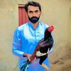 safdar.sipra0
