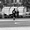 lucaro