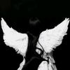 angelsuic1de