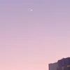 dzy777_