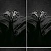 hellen.abigail46