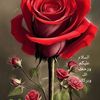 izhar.ahmad.izhar3