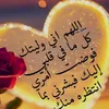 user9679777874410
