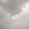 ali.almarrii6