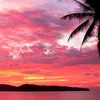 alexis_56668