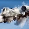 a10lwarthog