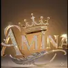 aminabeta61