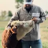 Hales Miniature Herefords