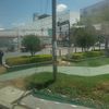 estrelladaylinp