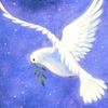 dailylight111